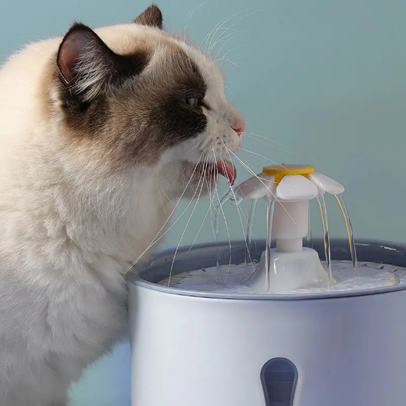 "Transform Your Cat's Health with Every Sip"